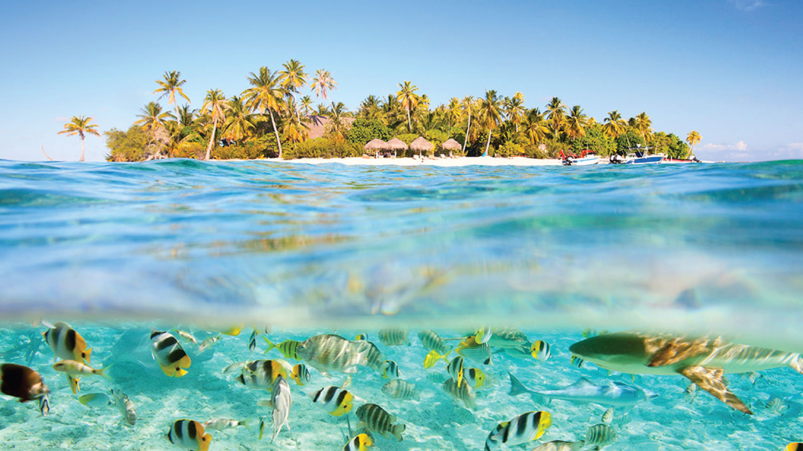 Vacation Hub International - Destination - Tahiti