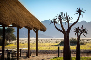  Vacation Hub International | Desert Camp Facilities