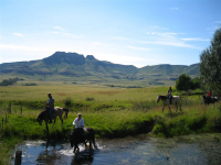  Vacation Hub International | Moolmanshoek Private Game Reserve Facilities