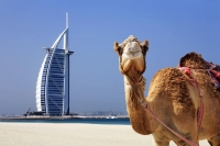  Vacation Hub International | Fraser Suites Dubai Hotel Facilities