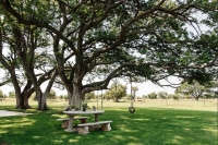  Vacation Hub International | Jahensu Safaris-High Tree Lodge Facilities
