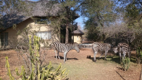  Vacation Hub International | Kruger River Villas - Lions Gate Facilities