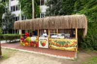  Vacation Hub International | Armas Bella Sun Facilities