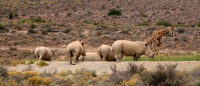  Vacation Hub International | White Lion Lodge Facilities