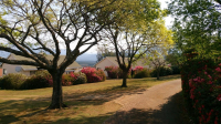  Vacation Hub International | Kloofsig Holiday Cottages Facilities