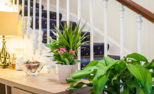  Vacation Hub International | Allison House Facilities