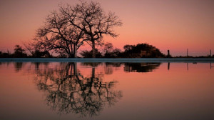  Vacation Hub International | Ngalali Retreat Facilities