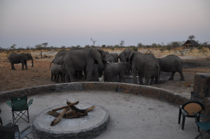  Vacation Hub International | Elephant Sands Lodge Facilities