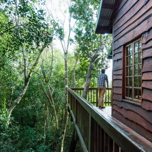  Vacation Hub International | Moon Shine on Whiskey - Tree Frog Forest Cabin Facilities
