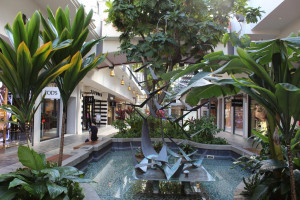  Vacation Hub International | Ala Moana Hotel Facilities
