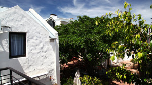  Vacation Hub International | Los Olivos at the Yard Facilities