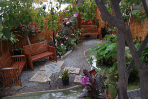  Vacation Hub International | Aqua Oasis Hotel Facilities