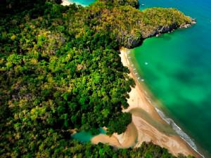  Vacation Hub International | Deep forest garden inn Facilities