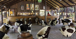  Vacation Hub International | Planet Baobab Facilities
