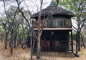  Vacation Hub International | Honeyguide Ranger Camp Facilities