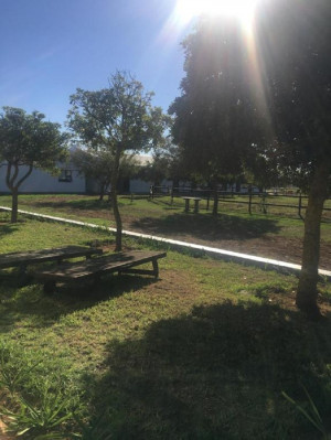  Vacation Hub International | Gratitude Wellness Village Facilities