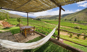  Vacation Hub International | Pat Busch Mountain Reserve Facilities