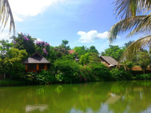  Vacation Hub International | Pura Vida Pai Resort Facilities