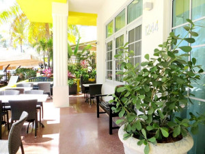  Vacation Hub International | Leslie Hotel Ocean Drive Facilities