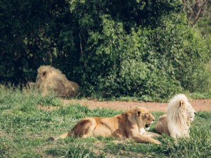  Vacation Hub International | Sofala Lodge & Spa Facilities