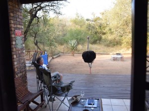  Vacation Hub International | Khumbula iAfrica 2 Facilities