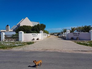  Vacation Hub International | Bahama Self-Catering Long Acres Facilities