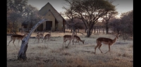  Vacation Hub International | Sambane Bush Lodge Food