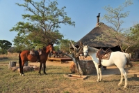  Vacation Hub International | Kwafubesi Tented Safari Camp Food