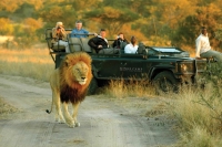  Vacation Hub International | Kings Camp Private Game Reserve Food