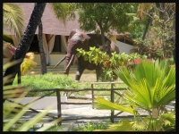  Vacation Hub International | Ora Resort Angels Bay Food