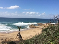  Vacation Hub International | Palm Park Food
