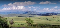  Vacation Hub International | Antbear Lodge Food