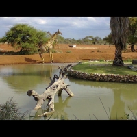  Vacation Hub International | Bua Nnete Luxury Lodge Food