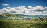  Vacation Hub International | Gwahumbe Game Lodge & Spa Food