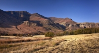  Vacation Hub International | Dynasty Red Mountain Ranch Food