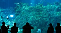  Vacation Hub International | BreakFree on Clarence Food