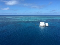 Vacation Hub International | Royal Palm Villas Food