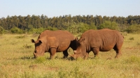  Vacation Hub International | Bushwise Safari's and Lodge Food