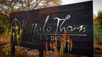  Vacation Hub International | Buffalo Thorn Safari Lodge Food