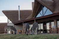  Vacation Hub International | J-Bay Zebra Lodge Food