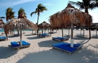  Vacation Hub International | Newport Beachside Hotel & Resort Food