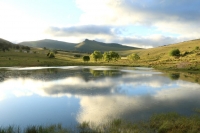  Vacation Hub International | Lowestoffe Country Lodge - Trout Lodge Food