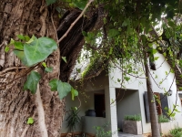  Vacation Hub International | 440@Brooklyn Food