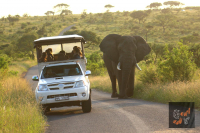  Vacation Hub International | Lodge Afrique Food