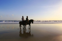  Vacation Hub International | Pelangi Bali Hotel & Spa Food