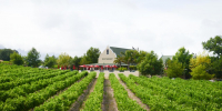  Vacation Hub International | Skilpadvlei Wine Estate Food