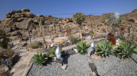  Vacation Hub International | Blue Diamond Lodge Food
