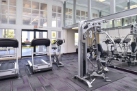  Vacation Hub International | Clarion Inn & Suites Across From Universal Orlando Resort Food