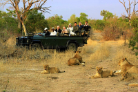  Vacation Hub International | Ngama Tented Safari Lodge Food
