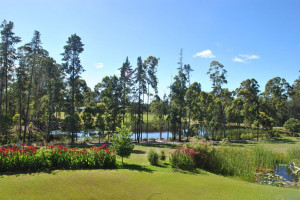  Vacation Hub International | Lombard Villa Food